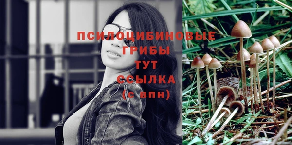 мдпв Балабаново
